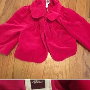 Tea collection velvet pea coat